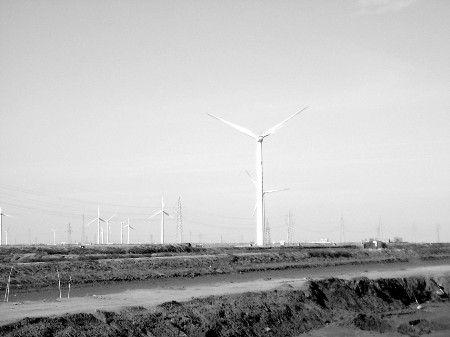 “油城”東營“借水轉身”