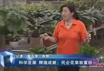 ƌWlչ xͳɾͣ󻨲¸