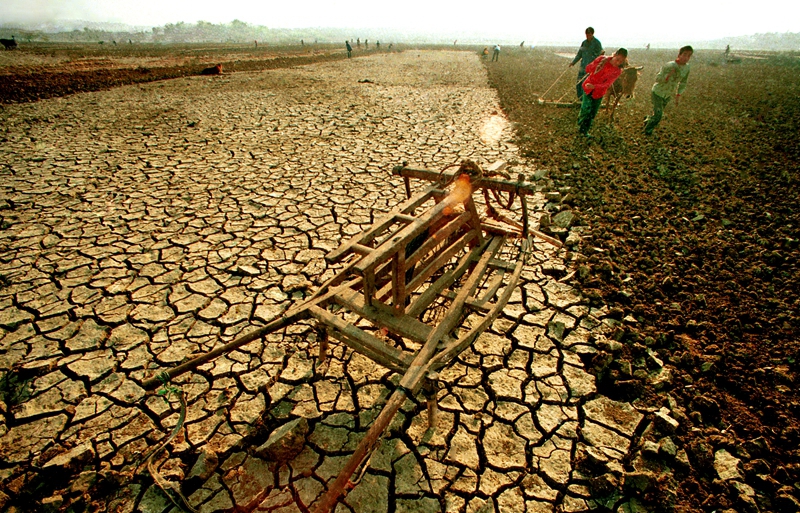 4、《抗爭》1991年10月,臨沂莒南遭遇嚴重干旱。勤勞的老區人民不等不靠,