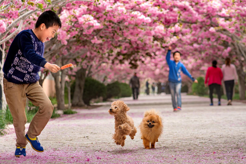 4 ѻ--20164£R媴ęѻӂ͌ﹷ_ĵˣ---A.jpg