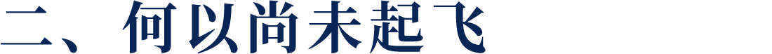 二、何以尚未起飛