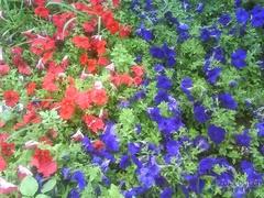 時尚手機(jī)新教主 滑蓋炫燈索愛S500i評測 時尚新概念索愛超薄滑蓋機(jī)S500i評測(8)