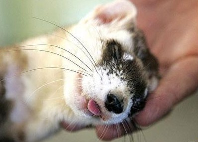 (dng)ɐ(i)˯˴P(pn)c(din)