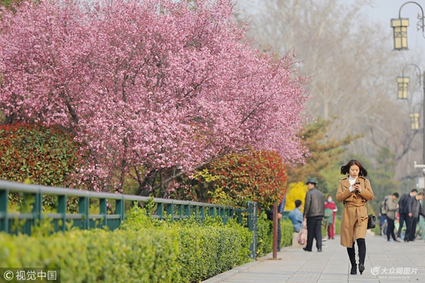 2018322ɽ|ϸ^ѻһӻ_\˼B