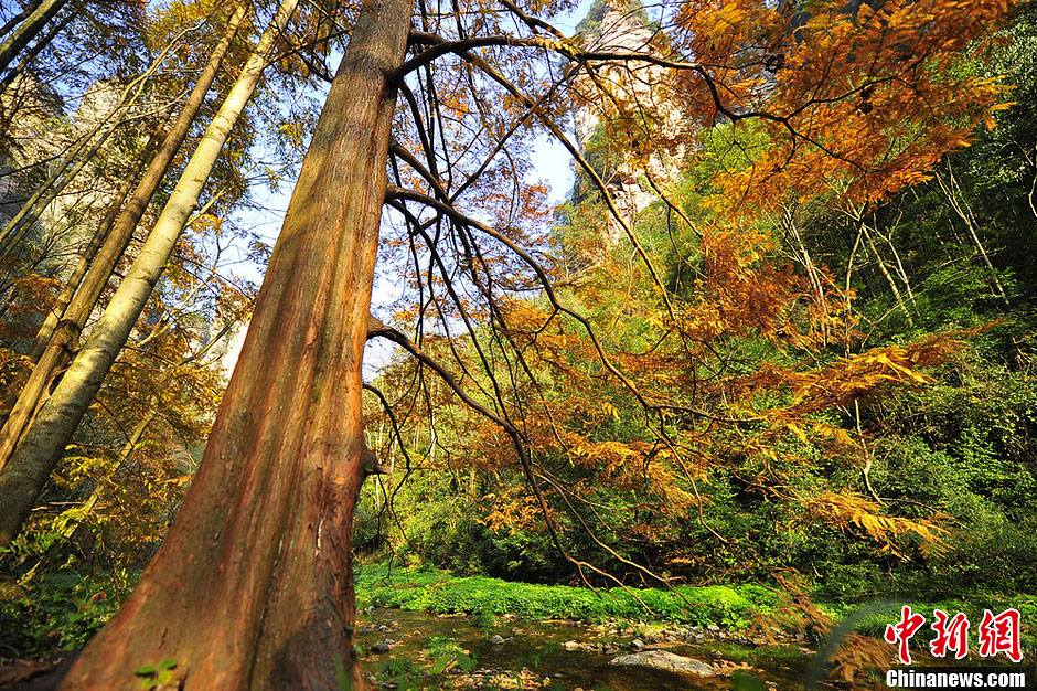 գůλںϏҽеďҽɭֹ@ɫu⣬t~S~cصɽεò໥ӳһֱMȾĮա۷f z