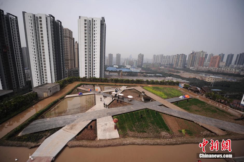 ؑcTI(y)F(tun)׃˴Ҏ(gu)ģr(nng)نTԼһKأԷNС߲˵r(nng)еĆT߀B(yng)˼@γһT_r(nng)