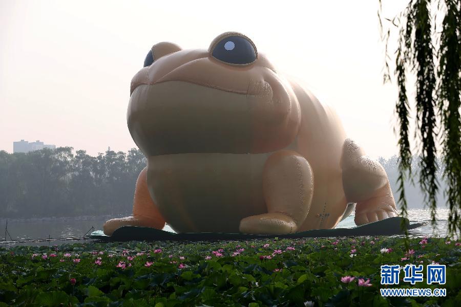 գһֻ22סײL34׵ĳ⡰~󸡱 ڱY̶@fƽ㾰^ʽࡣ