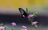 H5~JXI~BTNM9(L(G1P_UEB0.png